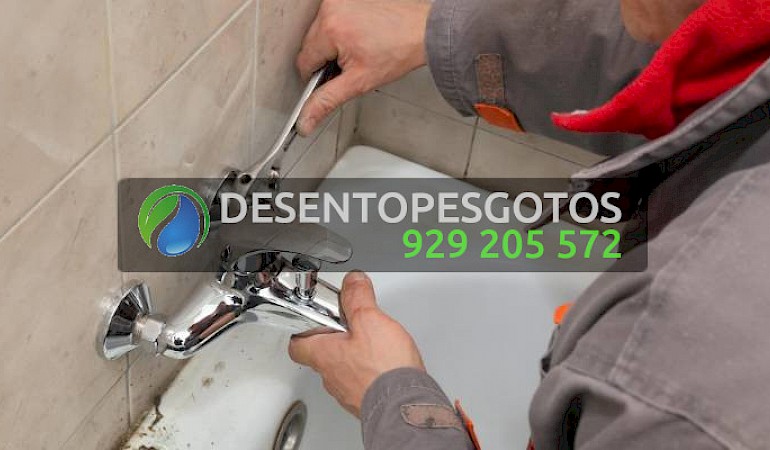Canalizadores Lousa