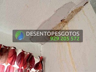 Detecção de Fugas de Água em Lisboa: Métodos e importância